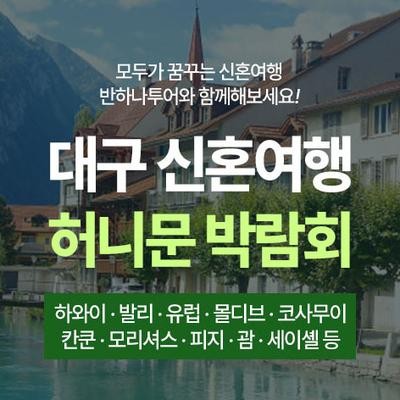 대구 반하나 허니문박람회