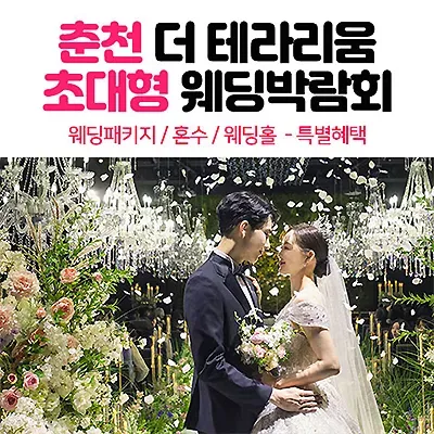 춘천 웨딩박람회 7월 춘천 더테라리움 웨딩페어